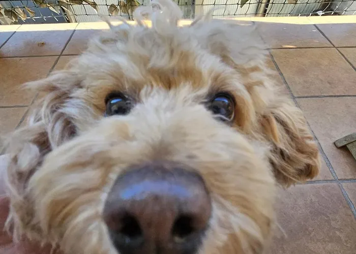 Luna Center Free Parking * Verbania